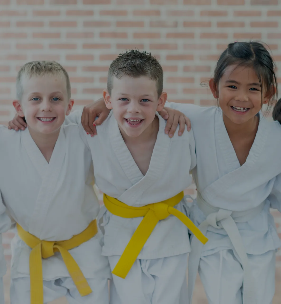 martial arts software